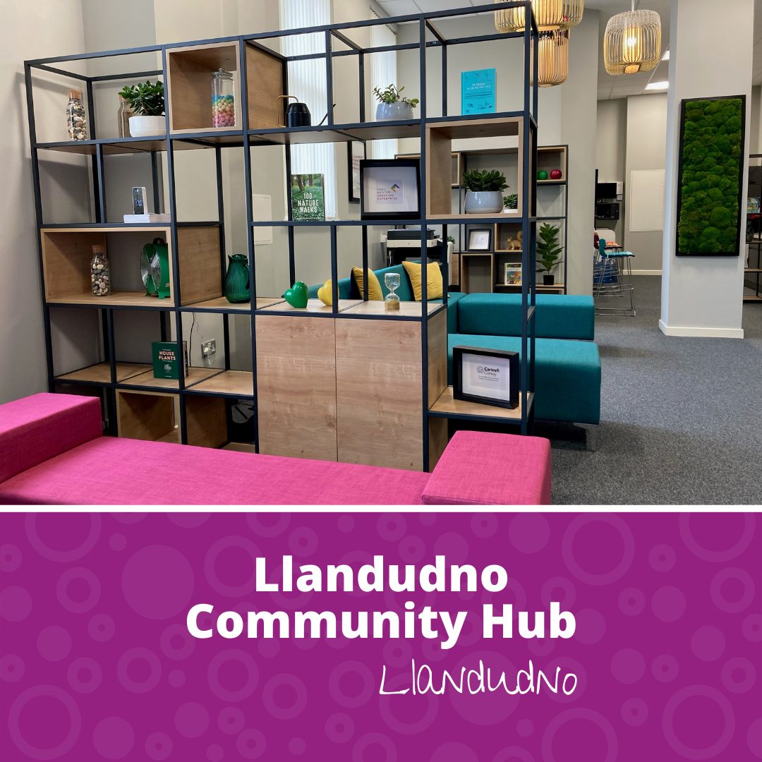 Community Hubs Creating Enterprise